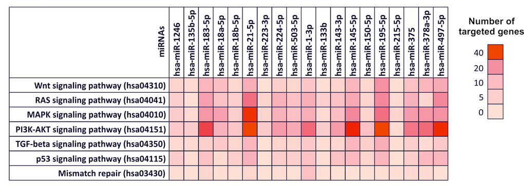 Diana-mirPath pathway analysis – Interaction between selected miRNAs and TCGA colorectal cancer pathways. Prediction pathway analysis of the interaction between selected miRNAs and the main genes and pathways involved in CRC development according to The Cancer Genome Atlas Network. For each miRNA is indicated the number of targeted gene within a specific pathway is indicated by highlighting the corresponding box with a color scale ranging from red (40 genes targeted) to light red (0 genes targeted).