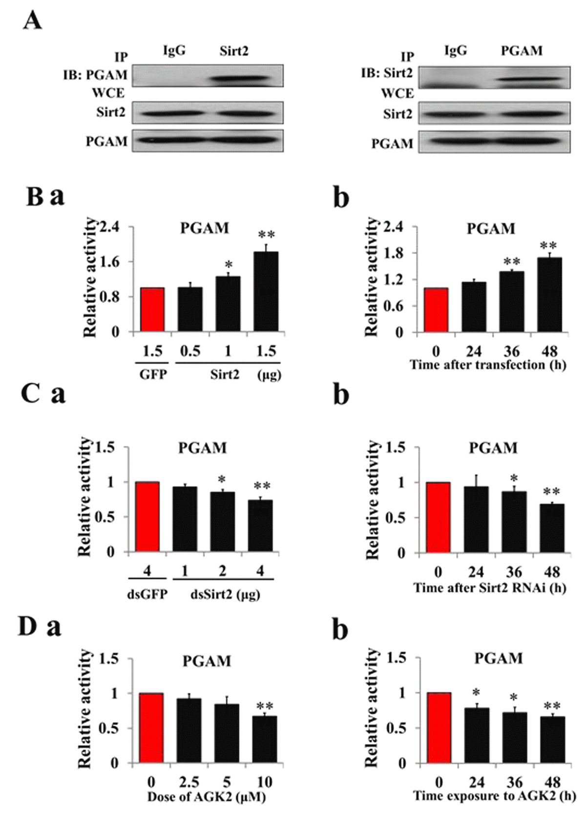 Deacetylation Of Metabolic Enzymes By Sirt2 Modulates Pyruvate ...