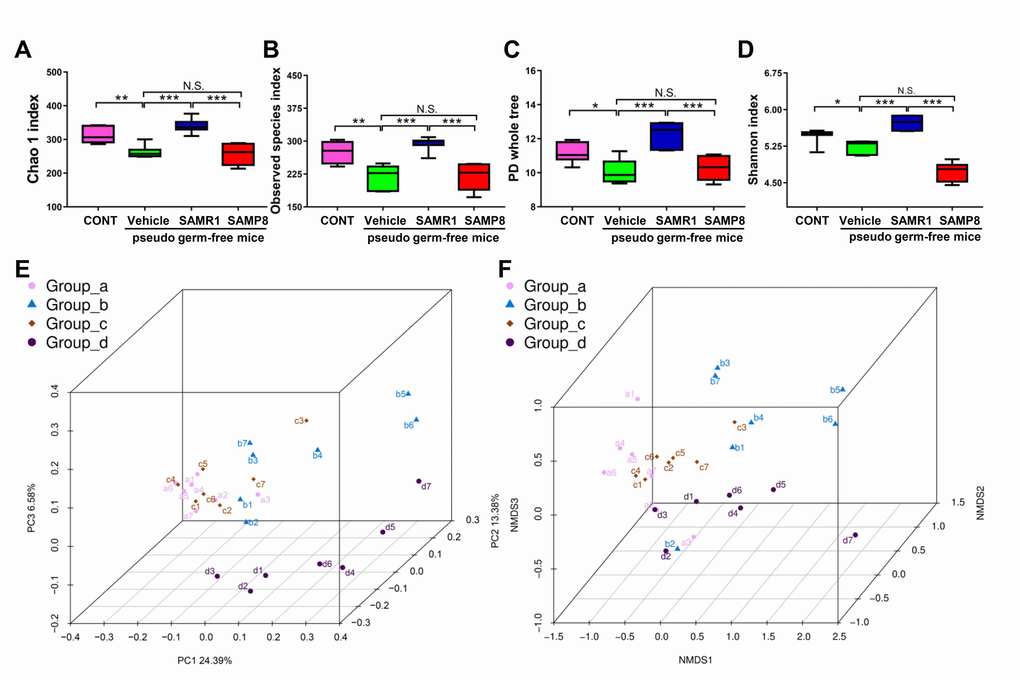 α-diversity and β-diversity of fecal microbiota transplant in pseudo germ-free mice. (A) Chao 1 index (One-way ANOVA; F3,24 = 21.28, P B) Observed species index (One-way ANOVA; F3,24 = 17.29, P C) PD whole tree (One-way ANOVA; F3,24 = 16.76, P D) Shannon index (One-way ANOVA; F3,24 = 50.19, P P P P E) PCoA analysis of gut bacteria data (Bray–Curtis dissimilarity). (F) NMDS analysis of gut bacteria data. NMDS: non-metric multi-dimensional scaling; PCoA: principal coordinates analysis.