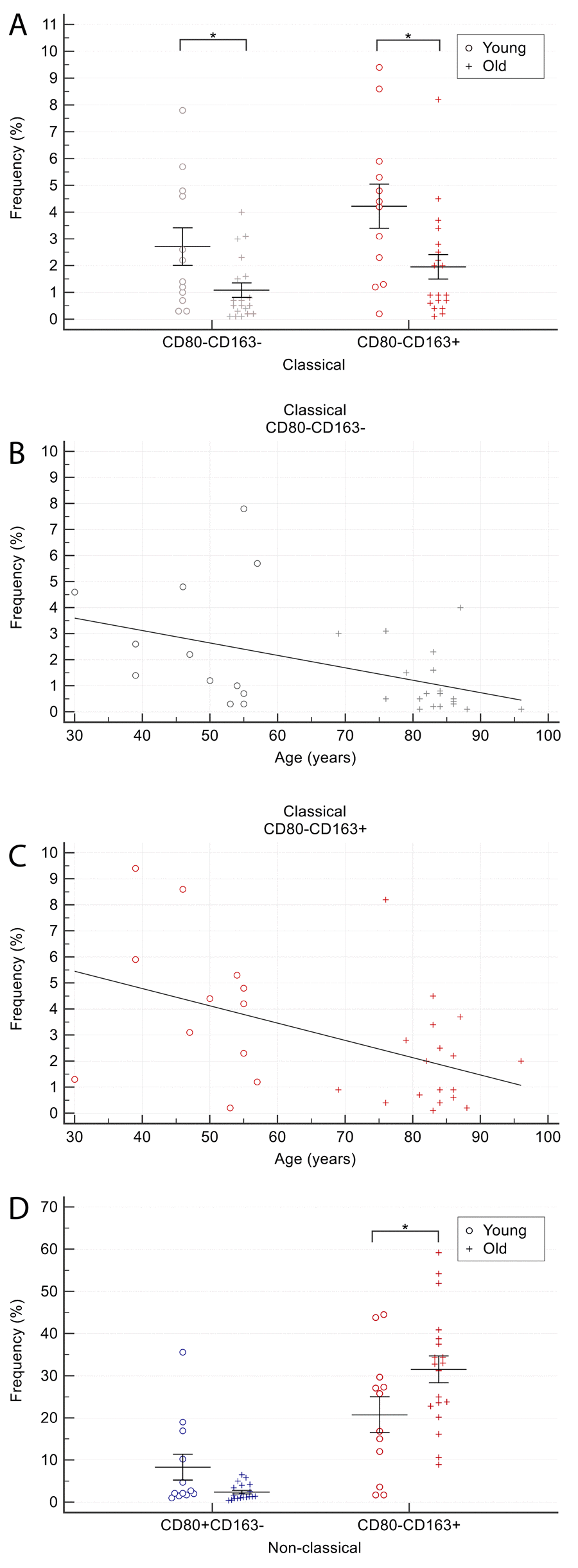 Comparison of CD80/CD163 cells proportion among monocyte subsets in older and younger CTR subjects. (A) proportion of CD80-CD163- and CD163+ cells among classical monocytes. (B-C) age-related correlation of CD80-CD163- and CD163+ classical monocytes. (D) proportion of CD80+ and CD163+ among non-classical monocytes. Young = 12 healthy subjects younger than 65 years. Old = 19 healthy subjects older than 65 years. Data are expressed as mean±SEM. *p