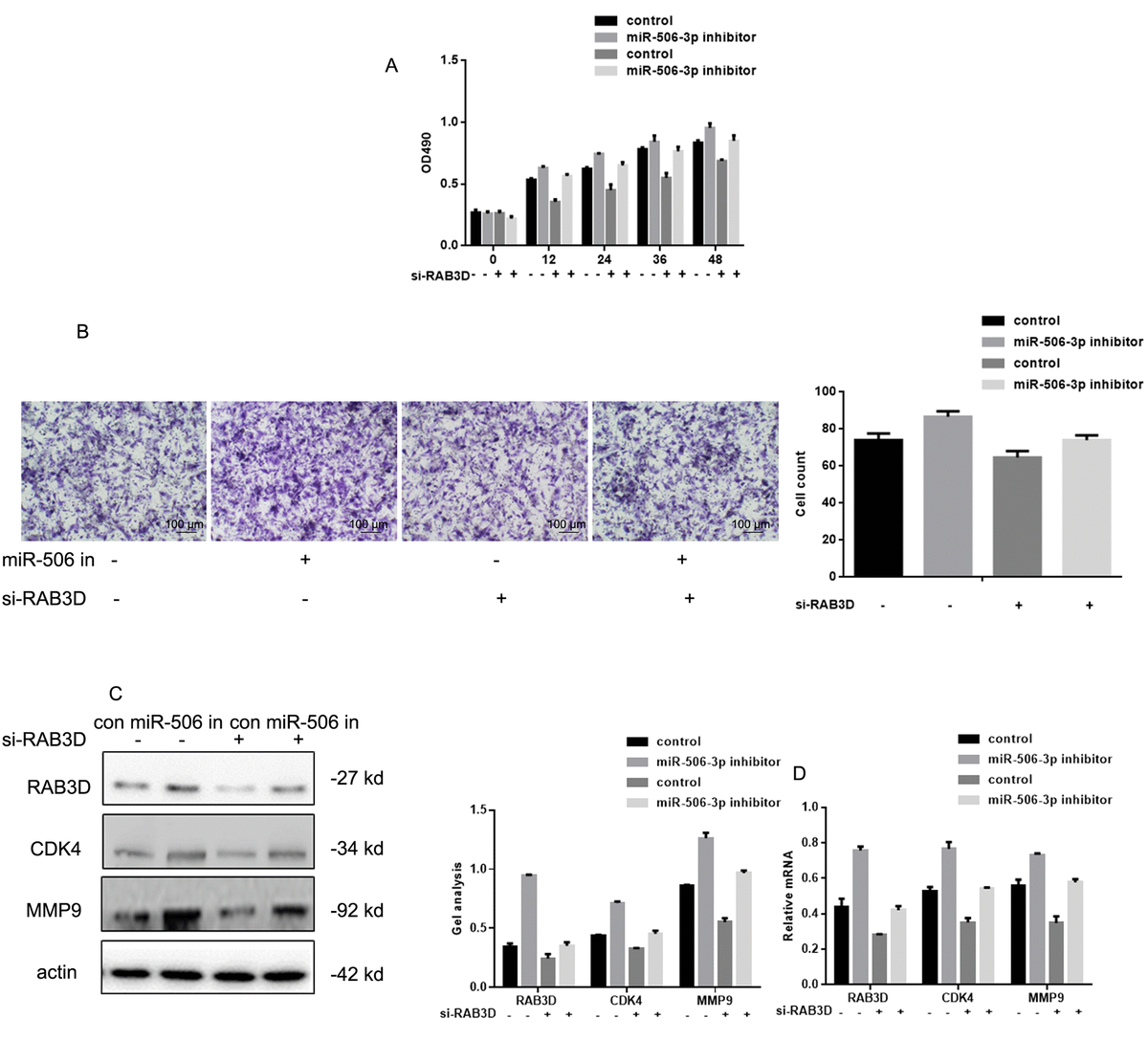 MicroRNA-506-3p Inhibits Osteosarcoma Cell Proliferation And Metastasis ...