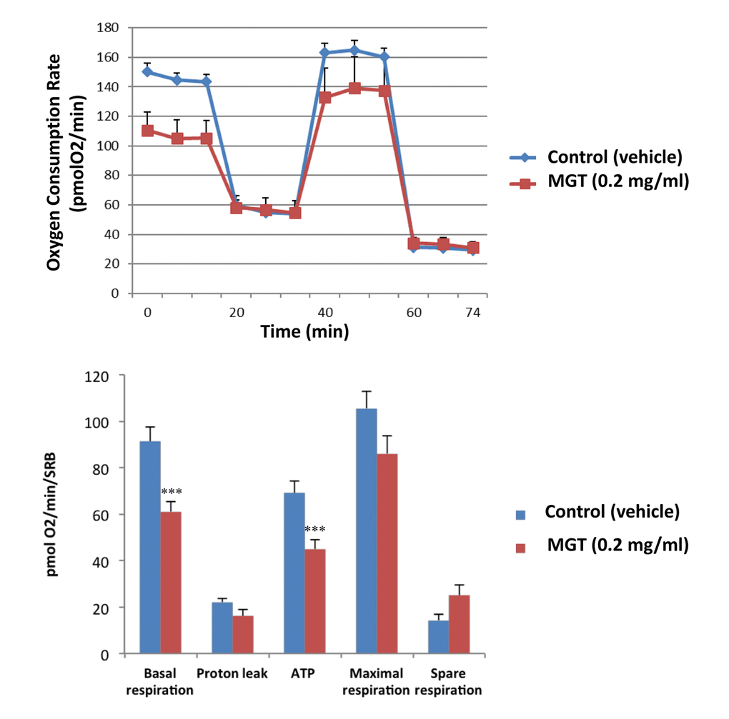 MGT treatment reduces basal respiration and ATP production in MCF7 cells. MCF7 cells were seeded at the density of six thousands cells in 96-wells plates. After twenty-four hours, filtered 0.2 mg/ml MGT was added and incubated for seventy-two hours. Oxygen consumption rate (OCR) was measured by Seahorse XF Analyser. Top panel: representative trace; bottom panel: bar graph with OCR quantification. Note that MGT treatment significantly decreases the basal respiration and the ATP production as compared to control cells. Others parameters, such as proton leak, maximal and spare respirations did not significantly change. Experiments were performed 3 times, with six repeats for each replicate. Bar graphs are shown as the mean ± SEM; t-test, two-tailed test. ***p 