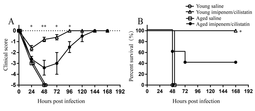 Efficacy of imipenem/cilstatin treatment on respiratory A.baumannii infection. Young and aged mice were challenged intratracheally with 1.5×107 CFU of LAC-4. At 3 hpi, groups of five mice were i.p. injected with imipenem/cilstatin (20mg/20mg)/kg/day or saline twice a day. (A) Clinical score and (B) survival rate of mice were monitored for 7 days. Clinical score is expressed as means ± SEM. The data represent one of 2 independent experiments. Survival curves were compared using log-rank test. Statistical significance of clinical score was determined by Student’s t test. *, P P 