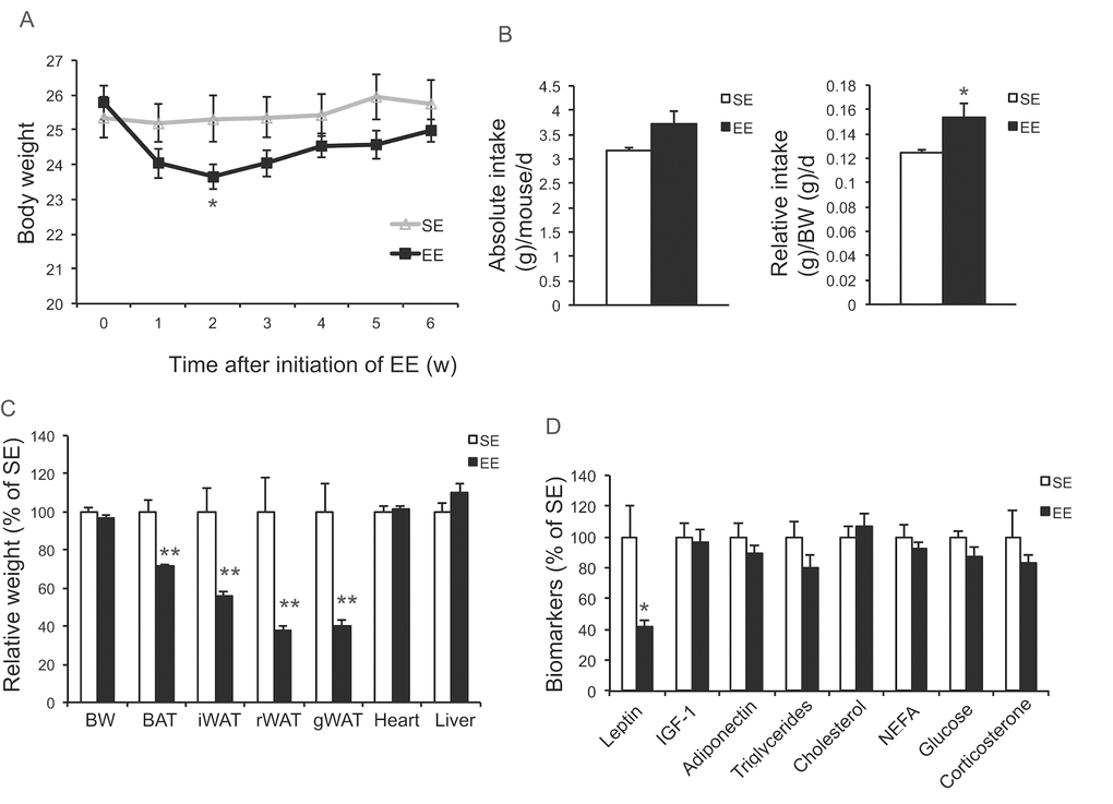 Short-term EE activates the HSA axis in 10-month old mice. (A) Body weight (n=10 per group). (B) Absolute (left) and relative (right) food intake. (C) Body and tissue weight at sacrifice after 6-week EE (n=10 per group). (D) Serum biomarkers at sacrifice (n=10 per group). * PP