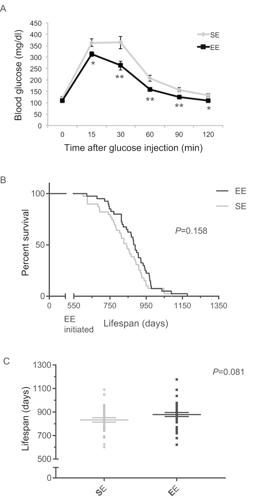 EE effects on lifespan initiated at 18-month of age. (A) Glucose tolerance test after 3-months EE in one cohort. n=10 per group. * PPB) Kaplan-Meier survival curves of combined data of 4 cohorts. n=39 for SE, n=40 for EE. Log-rank test P value shown in the figure. (C) Means of lifespan. Individual value plot of lifespan. Two-sample T test P value shown in the figure.