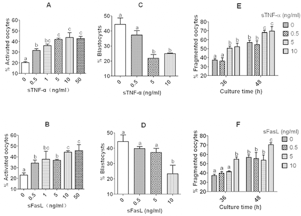 Effects of culture with different concentrations of sTNF-α or sFasL on activation susceptibility, embryo developmental potential and cytoplasmic fragmentation of aging DOs. While (A) and (B) show rates of ethanol-activated oocytes, (C) and (D) show blastocyst rates of Sr2+ activated oocytes. Mouse DOs collected at 13 h post hCG were cultured for 12 h in CZB medium containing different concentrations of sTNF-α or sFasL before activation treatment with ethanol or SrCl2. Each treatment was repeated 3 times with each replicate including about 30 oocytes. E and F show percentages of fragmented oocytes after newly ovulated DOs were cultured for 36 or 48 h in CZB with different concentrations of sTNF-α (E) or sFasL (F). Each treatment was repeated 4 times with each replicate containing about 30 oocytes. a–c: Values with a different letter above bars differ significantly (P 