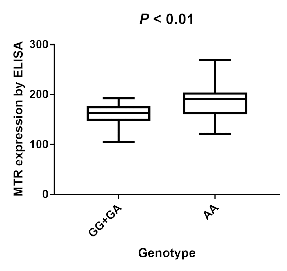Analysis of serum MTR levels in rs1805087 A/G genotype of PCa cases with mean values (horizontal lines, mean values). Serum MTR levels in PCa patients carrying GG/GA genotypes were relatively lower than that carrying AA genotypes. P 