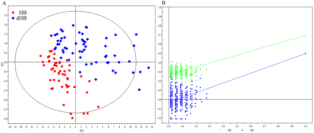Metabonomic analysis of urine samples from HB and dHB. (A) OPLS-DA score plots showing an obvious separation between dHB (blue diamond) and HB (red square) in the training set; (B) 300-iteration permutation test showing the corresponding permuted values (bottom left) as significantly lower than original R2 and Q2 values (top right), demonstrating the OPLS-DA model's robustness.