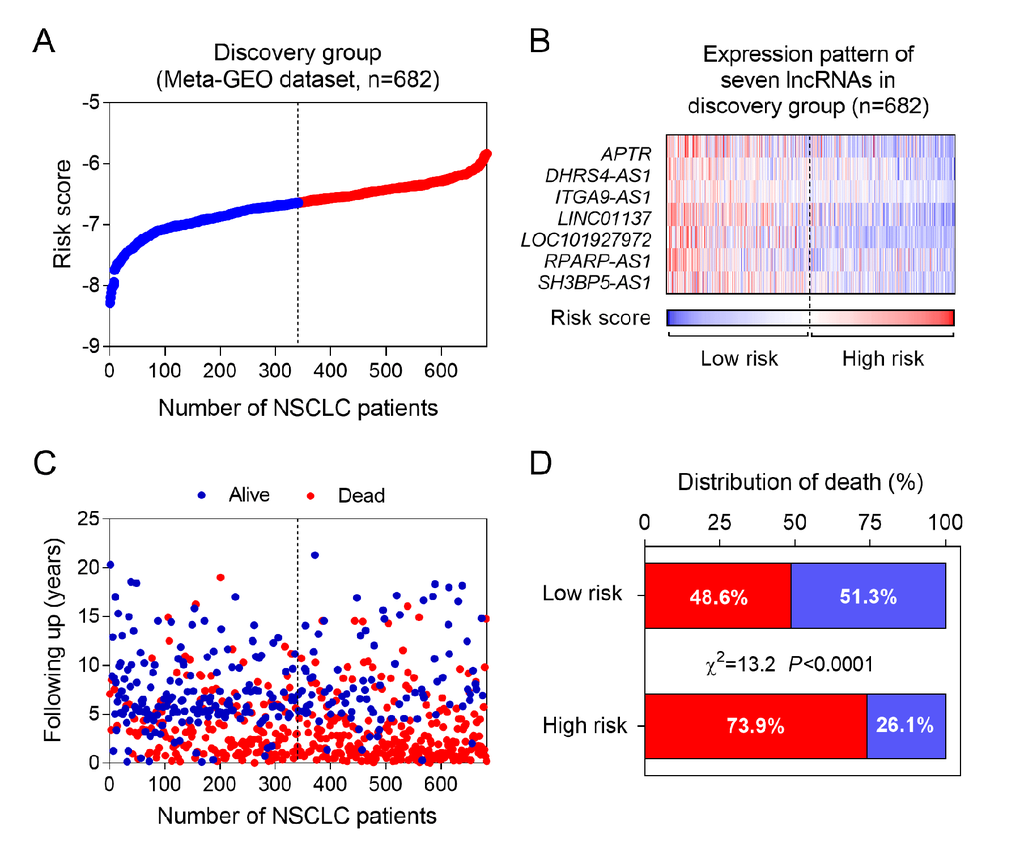 The seven-lncRNA signature-based risk score in prognosis of overall survival in the discovery group. (A) The seven lncRNA-based risk score distribution. (B) The heatmap of the seven lncRNA expression profiles. (C) The vital status of patients in high- and low-risk groups. (D) The mortality rate in low- and high-risk score groups.
