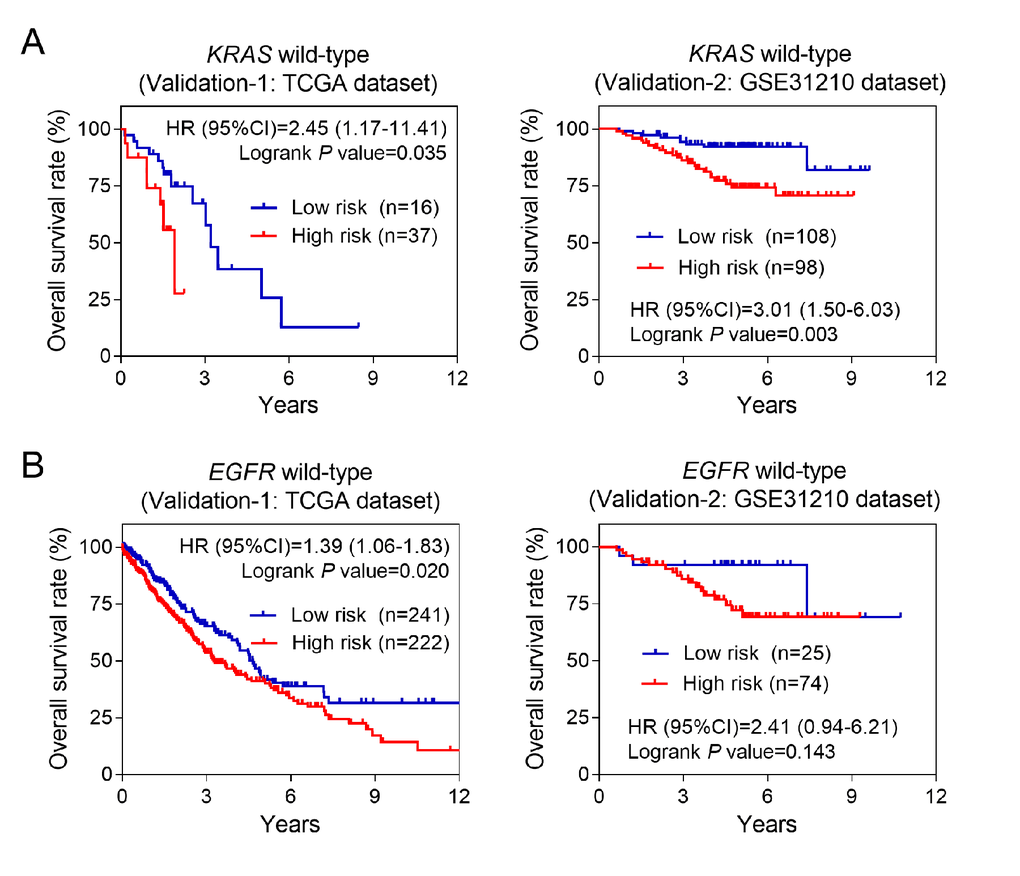 Kaplan-Meier estimates of the overall survival of patients carrying wild-type KRAS or EGFR genes. (A) Kaplan-Meier survival curves were plotted to estimate the overall survival for patients carrying wild-type KRAS gene in two validation groups. (B) Kaplan-Meier survival curves were plotted to estimate the overall survival for patients carrying wild-type EGFR gene in two validation groups.