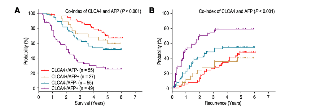 Combined value of CLCA4 and serum AFP identify different risks of HCC death and recurrence. The associations of CLCA4/AFP co-expression with Overall survival (log-rank P P 