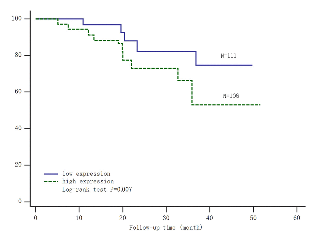 Kaplan-Meier survival analysis of the expression of SNHG8 and gastric carcinoma mortality. Abbreviations: low expression=low expression level of SNHG8; high expression=high expression level of SNHG8.
