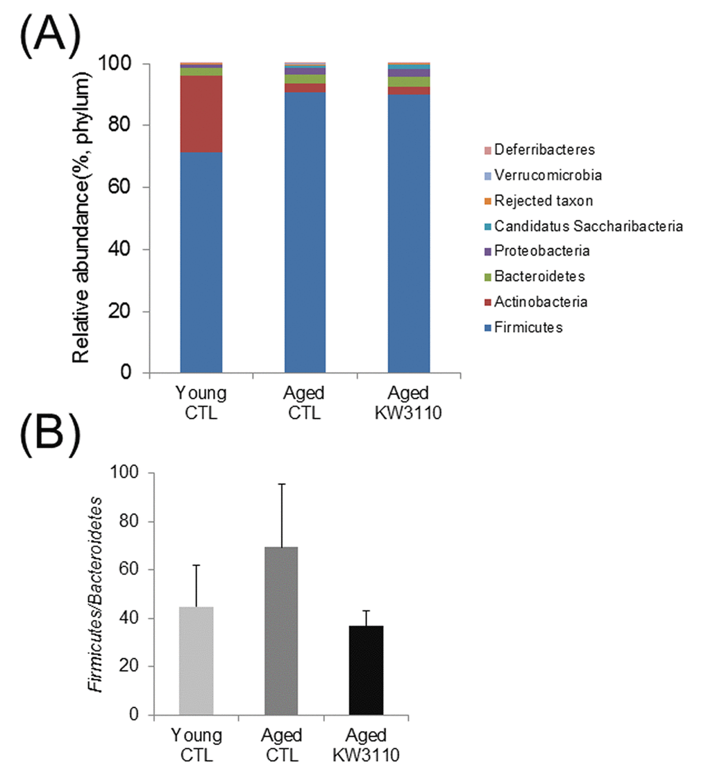 The intake of Lactobacillus paracasei KW3110 in aged mice affected the gut microbial composition. Feces were collected and subjected to flora analysis in young (3-months-old) and aged mice (22-months-old). (A) Distribution of gut microbiota (% of total 16S rDNA) at the phylum level. (B) Comparison of the Firmicutes to Bacteroidetes ratio. Values are presented as the means ± SEM of relative abundance of each phylum. 