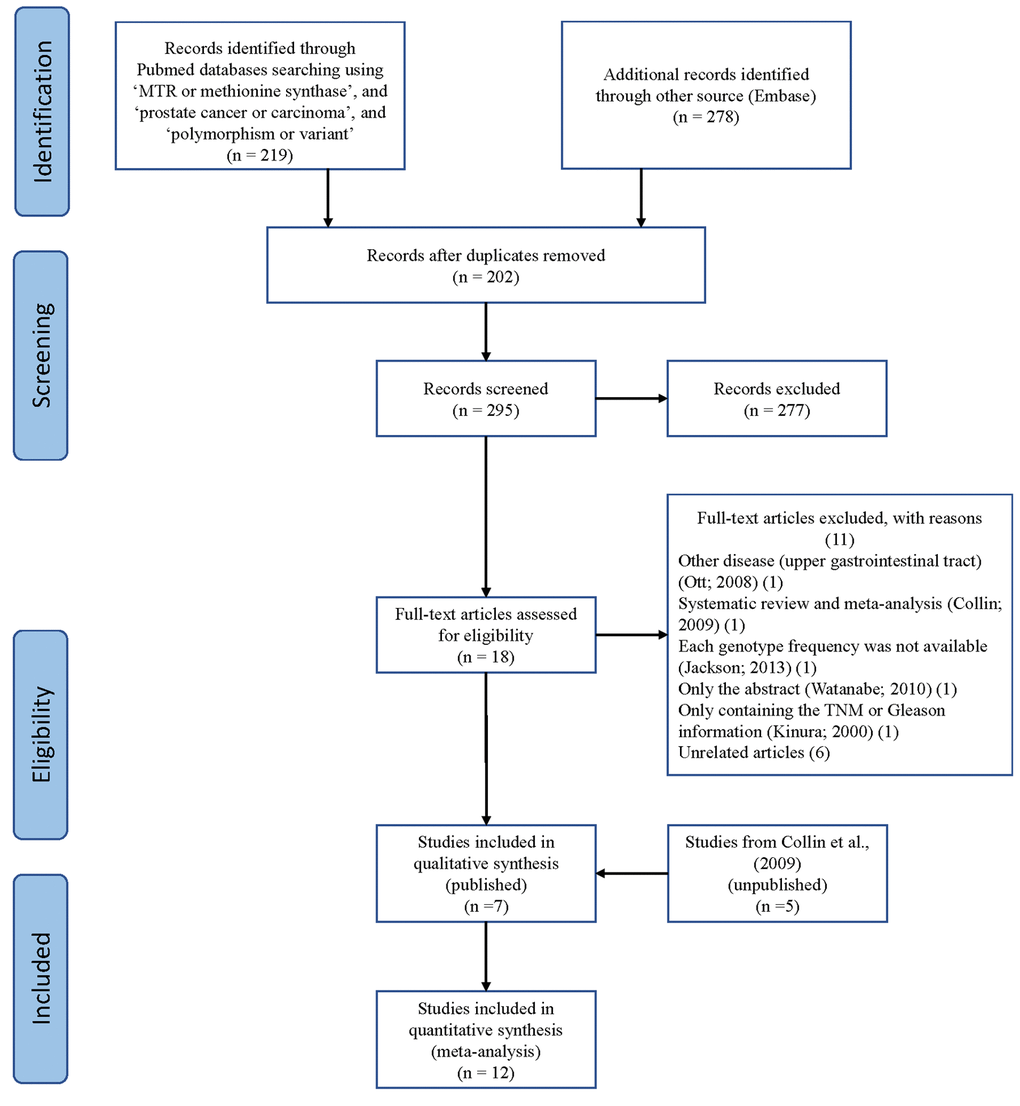 A flowchart illustrating the search strategy used to identify studies on association of METH SNP rs1805087 with PCa risk.