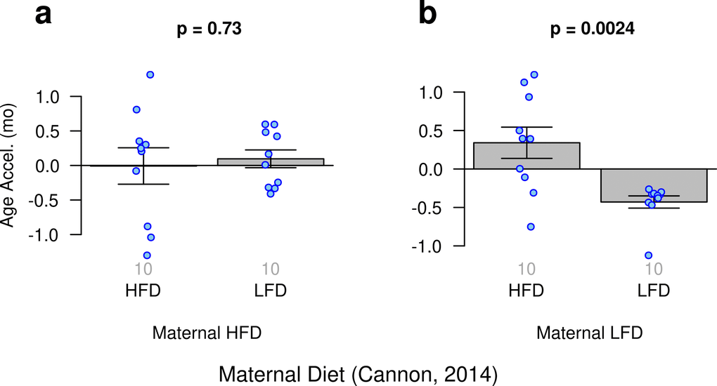 Age acceleration and maternal diet. Results obtained from ridge regression clock. (a) Offspring of mothers fed a high fat diet (HFD) who were fed either a high fat or low fat diet (LFD). (b) Offspring of mothers fed a low fat diet who were fed either a high fat or low fat diet.