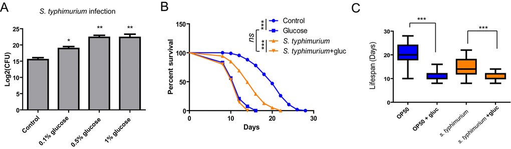 Glucose medium exacerbates S. typhimurium infection and shortens survival. (A) Glucose increases S. typhimurium infection in C. elegans. Animals cultured in the presence and absence of various concentrations of glucose were infected with S. typhimurium at L4 or young adult stage for 2 days. The numbers of infected pathogen were determined by lysing 20 worms and colony forming assay of live S. typhimurium inside the worms. Colony forming unit (CFU) was plotted using Log2. Data from two independent experiments were pooled and plotted. Error Bars stands for standard error of the mean (SEM). P values were obtained by student’s t-test. *, PB) Glucose decreases lifespan of infected animals. Lifespan and infection were carried out at 20 ºC. Animals were infected with S. typhimurium at L4 or young adult stage for 2 days then transferred to normal NGM plates. Survival of control and infected animals were recorded every other day. Data were collected from two independent experiments with number of worms >100. See Table S1 for details. (C) Comparison of killing effect in the presence and absence of glucose. Lifespan of animals (n>100) were plotted in Whiskers box. P values were obtained by Log-rank test. ***, P