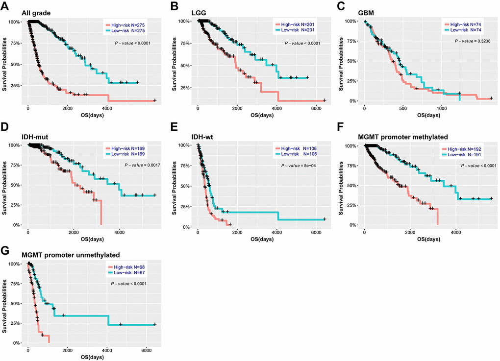 Outcome prediction of the 29-gene signature in stratified patients of TCGA cohort. (A-G) survival analysis of the signature in patients stratified by grade, IDH and MGMT promoter status.