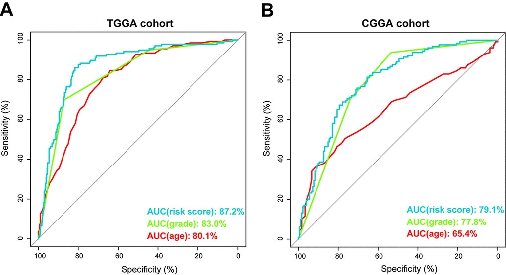 Prognostic power of the identified 29-gene signature in TCGA and CGGA cohorts. (A) ROC curve analysis of age, grade and risk score in TCGA cohort. (B) ROC curve analysis of age, grade and risk score in CGGA cohort. AUC, area under the curve.