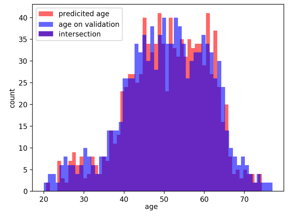 Distribution of actual age in the dataset and predicted age (PhotoAgeClock) labels in the validation set.