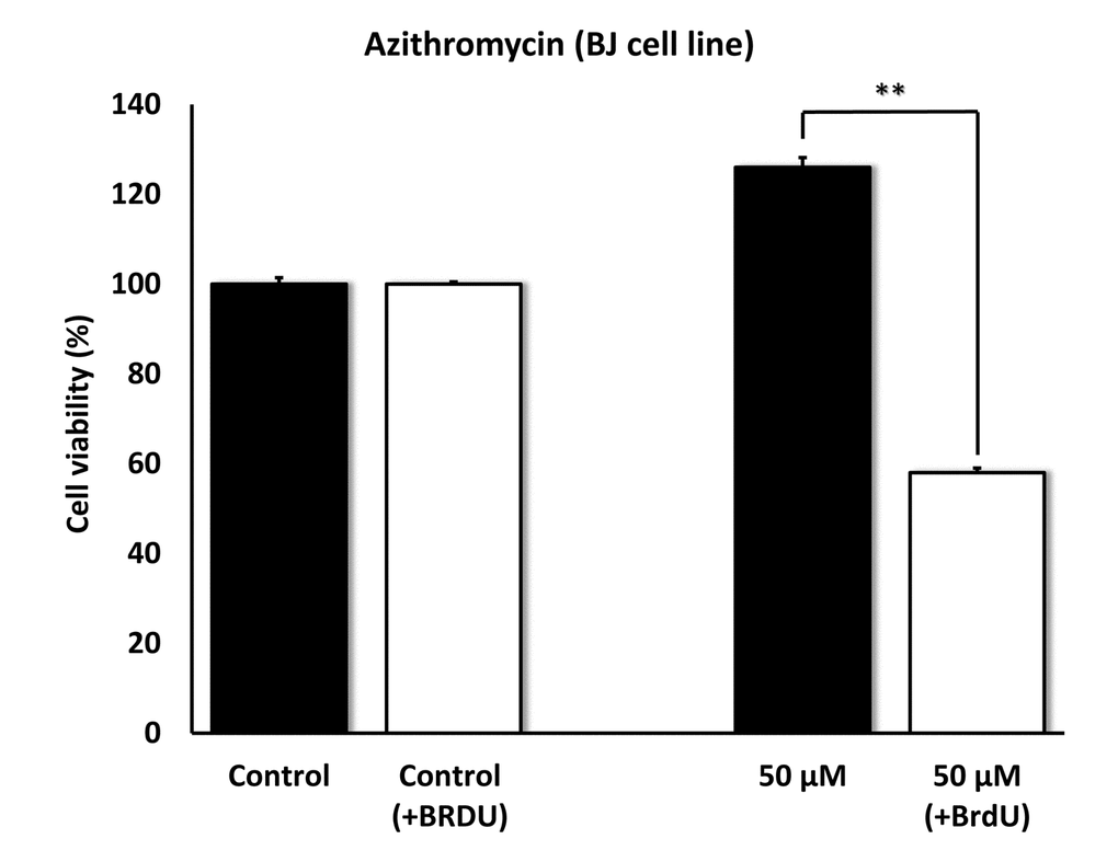 Azithromycin also shows senolytic activity in senescent BJ human skin fibroblasts. BJ cells were pretreated with BrdU for 8 days (to induce senescence), before they were exposed to Azithromycin for another 5 days. After that, SRB assay was performed to determine the effects of Azithromycin on cell viability. Azithromyin had a potent and selective effect on BJ cells, as it eliminated > 50% of senescent cells without reducing the viability of control cells after 5 days at 50 µM. These experiments were repeated at least 3 times independently, with very similar results. ** p