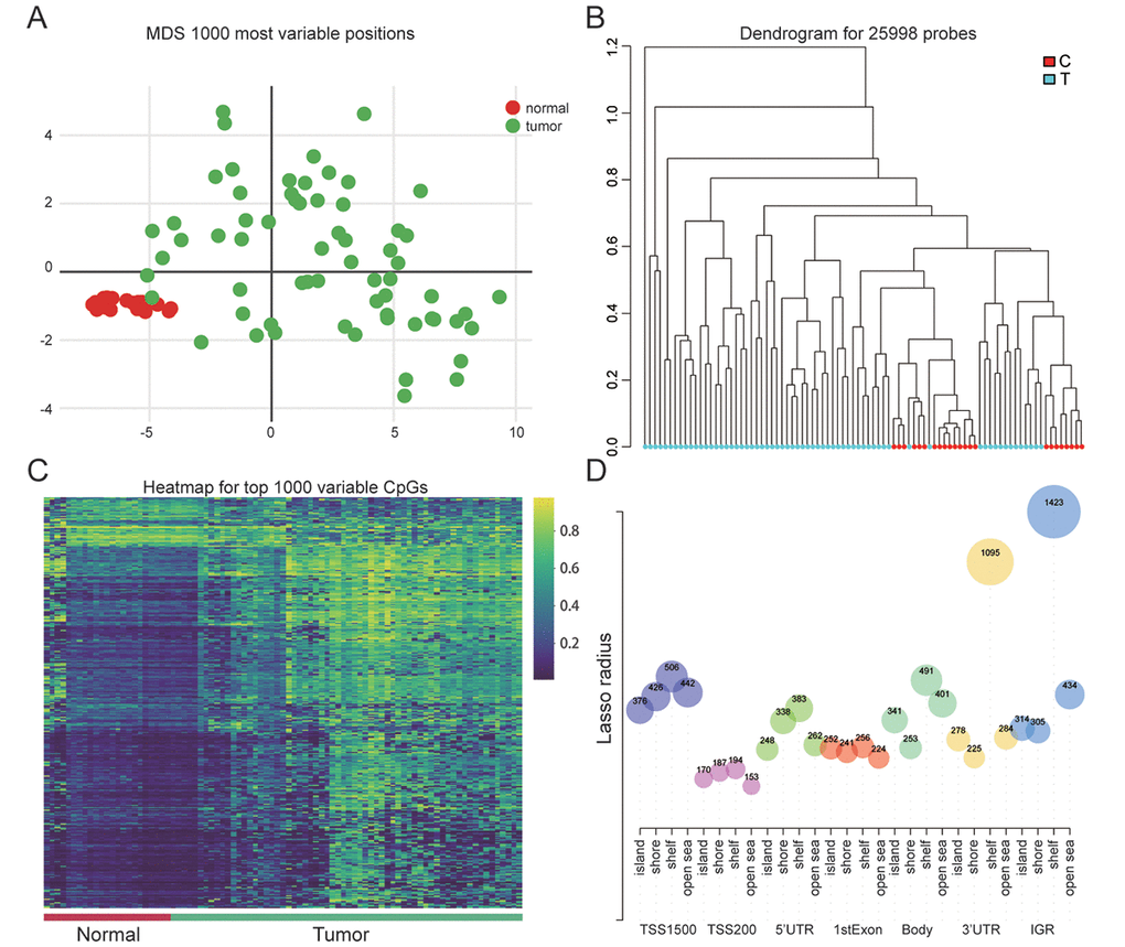 Genome-wide methylation data for endometrial carcinoma. (A) Multi-dimensional scaling (MDS) plot showing differential clustering of normal vs. tumor samples. (B) Dendrogram produced for 25998 probes in normal and tumor samples. (C) Heatmap of top 1000 differentially methylated imprinted CpG sites. (D) The distribution of CpG sites in different gene regions.