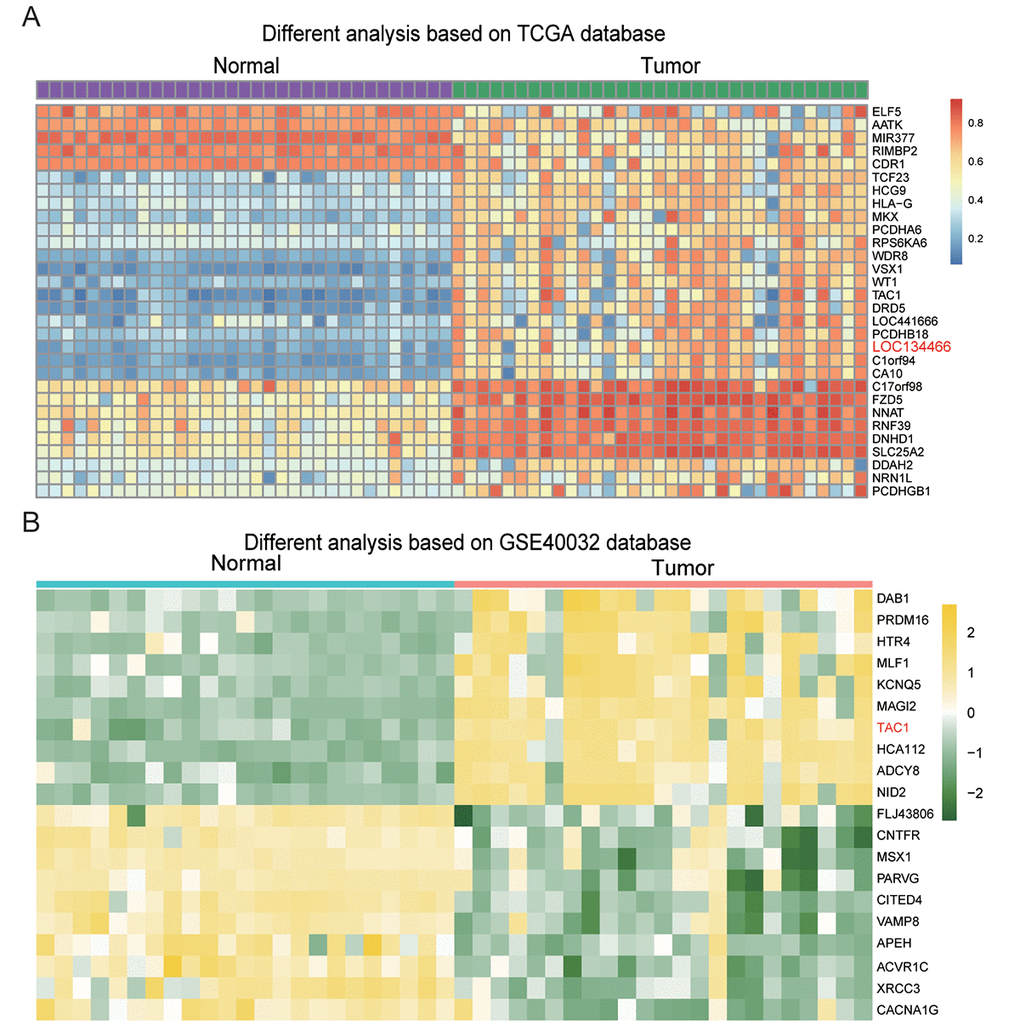 Hypermethylated genes in endometrial carcinoma. (A) The heatmap showed differentially methylated genes in the 20 endometrial carcinoma samples compared to normal adjacent tissues. (B) The heatmap showed differentially methylated genes in endometrial carcinoma compared to paired normal tissues. The results were generated based on GSE40032 database.
