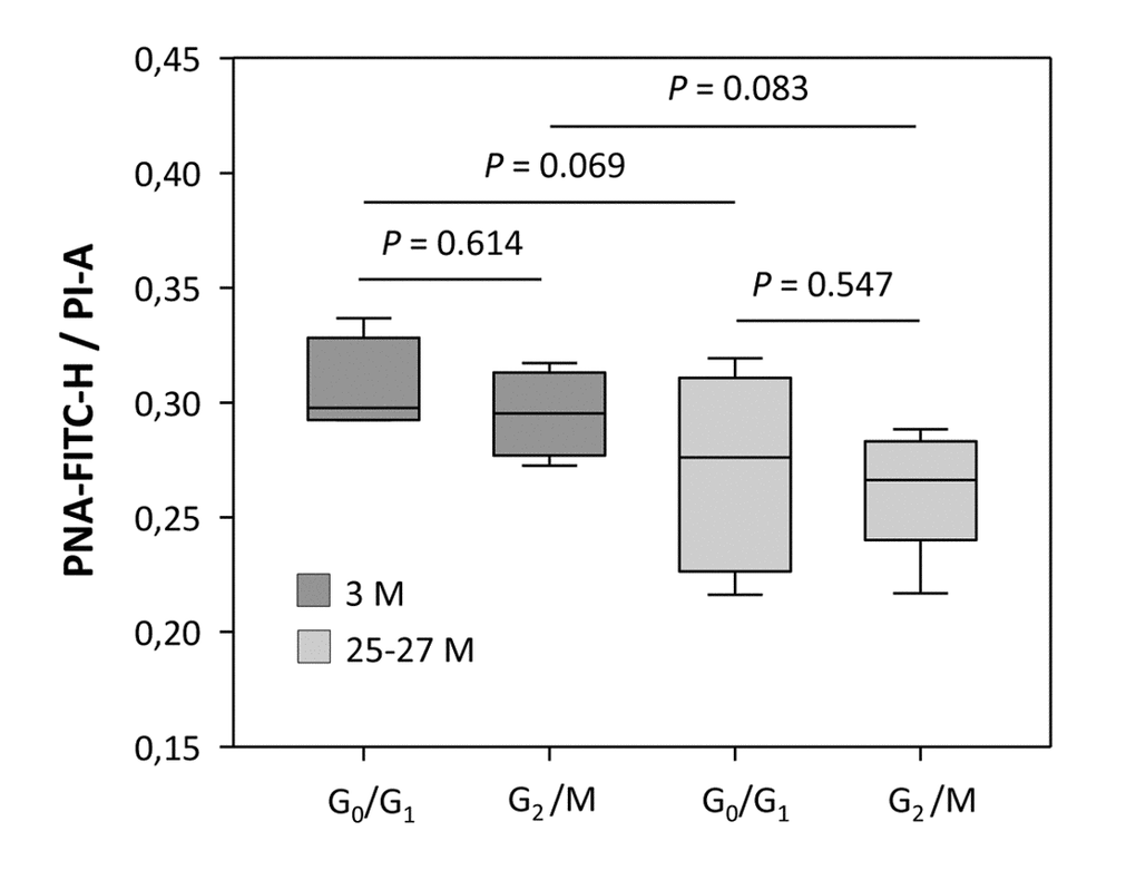 Relationship between telomere-related DNA and the total DNA content at different cell cycle phases, assessed for young and aged cortical neural cell isolates. Telomere-related DNA (PNA-Fluorescein Isothiocyanate height [PNA-FITC-H]-specific MFI) was normalized against the total DNA content (propidium iodide area [PI-A]-specific MFI). The ratio of PNA-FITC-related MFI corrected against the DNA content of G0/G1 and G2/M phase displayed stable values for both young and aged groups. Bars represent means ± SEM (n = 4 - 8). P-values were calculated using the Student’s t-test.