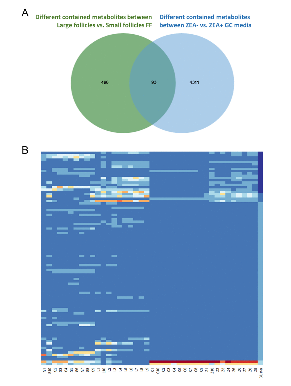 Co-exist metabolites between GC media and Follicular fluid (FF). Number of differential contained metabolites detected in the antral FF (green circle), and GC media (blue circle), the overlap showing co-existing metabolites in the FF and GC media (A). Heatmap showed the relative content of each co-existing metabolites in each group (B).