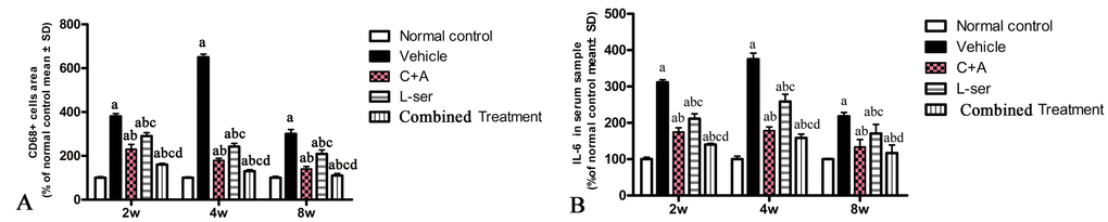 (A) CD68, a marker of activated microglia and extravasated macrophages, reached a maximal level at 4 weeks and then decreased considerably by 8 weeks after L-BMAA injection. Treatment with C16+Ang-1, L-serine, or both combined all obviously alleviated inflammatory cell infiltration, with the C16+Ang-1 and combined treatments producing better effects than treatment with L-serine alone. (B) Moreover, the serum IL-6 level increased after L-BMAA injection, and the changes in IL-6 and CD68 expression were similar. Administration of C16+Ang-1 and the combined treatment of C16+Ang-1 with L-serine also produced more remarkable inhibitory effects on IL-6 expression compared with L-serine treatment only. (a) p