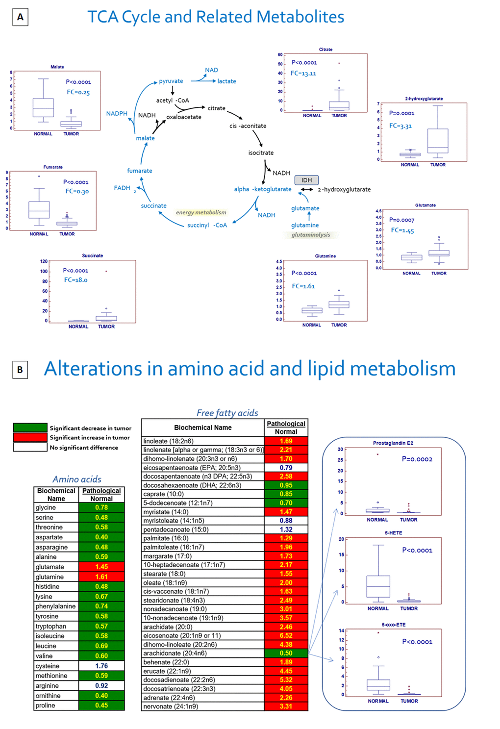 Schematic model summarizing the differences in tricarboxylic acid (TCA) cycle metabolites between normal and tumor tissue (A). Alterations in amino acid and lipid metabolism (B).