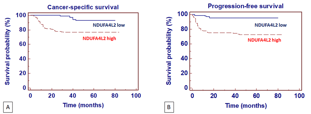 Kaplan-Meier cancer-specific survival (CSS) (A) and progression-free survival (PFS) (B) curves, stratified by NDUFA4L2 tissue expression levels. Patients with higher NDUFA4L2 levels had reduced CSS and PFS as compared to patients with lower values.