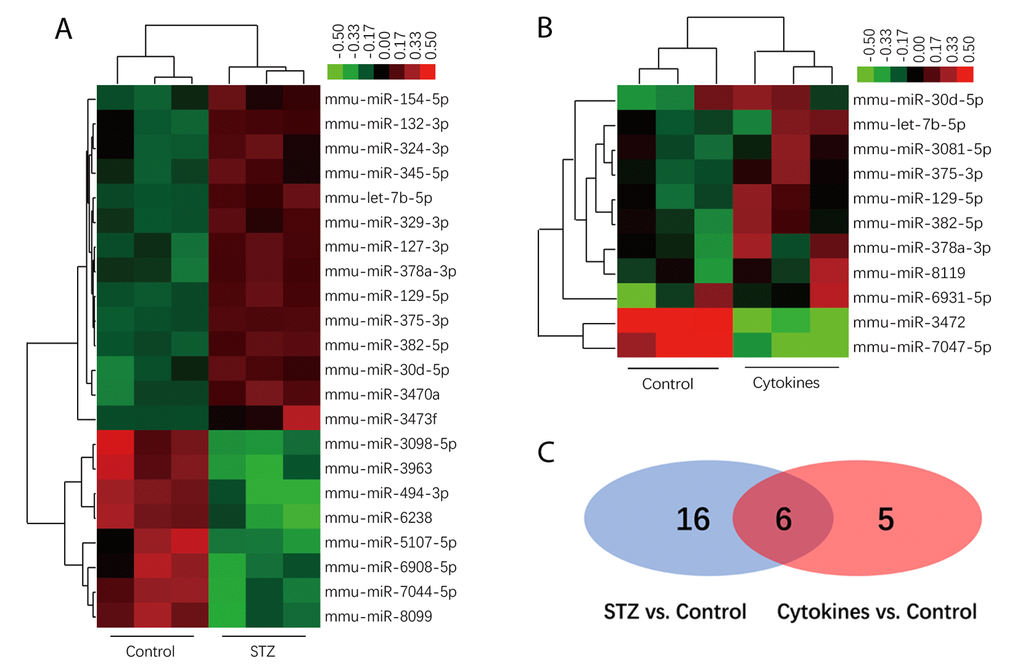 MiRNAs profiles of exosomes derived from islets. Heatmap of the normalized expression levels of miRNAs diﬀerentially expressed in exosome of STZ (A) and cytokines (B) treated islets compared with control (x axis clustering showed different treatments). (C) Venn diagram show 6 differentially expressed miRNAs both in STZ and cytokines treated group compared with controls (shown in the overlap area).