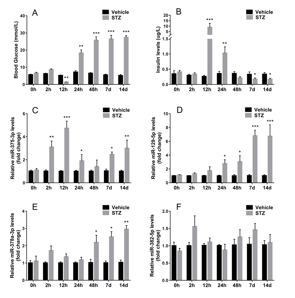 Expression of screened miRNAs in serum exosomes of STZ treated mice. Serum was sampled from ICR mice at different time after STZ injection. Fasting tail blood glucose (A) and serum insulin (B) levels were measured. The expression of 4 serum exosomal miRNAs selected from microarray miR-375-3p (C), miR-129-5p (D), miR-378a-3p (E), miR-382-5p (F) were analyzed using qRT-PCR. Values represent means ± SEM (n≥9 mice of each time point). (* PPP