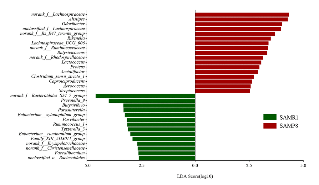 Gut microbiota bacterial comparisons between SMAP8 and SAMR1 groups analyzed by LEfSe (LDA> 2.5, P Histogram of the LDA scores for differentially abundant genera. LDA scores were calculated by LDA effect size, using the linear discriminant analysis to assess effect size of each differentially abundant bacterial taxa.