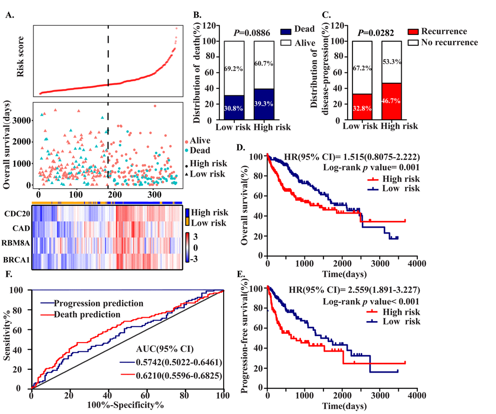 Construction of the Four MDEGs signature of HCC. The patients were stratified into high risk group and low risk group based on median of risk score. (A) Risk score distribution of HCC patients, Survival status of each patient and Expression heatmap of the four hub MDEGs corresponding to each sample above. Red: high expression; Blue: low expression. (B, C) The distribution of death (B) and disease-progression (C) in high and low risk group. (D, E) Kaplan-Meier estimates of the overall survival (D) and progression-free survival (E) time of patients using the four MDEGs signature based risk score. (F) The ROC curve of the four MDEGs signature.