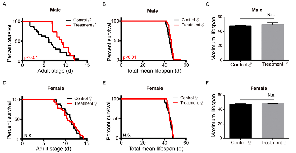 Metformin increases the adult and total mean lifespan in the male silkworm. (A) Adult stage (n=27), (B) mean total lifespan (n=30), and (C) maximum lifespan (n=3) of unmated female silkworms administered metformin (Treatment) or deionized water (Control). (D) Adult stage (n=24), (E) mean total lifespan (n=54) and (F) maximum lifespan of unmated male silkworms administered metformin (Treatment) of deionized water (Control). Bars depict the mean + SEM, *P 