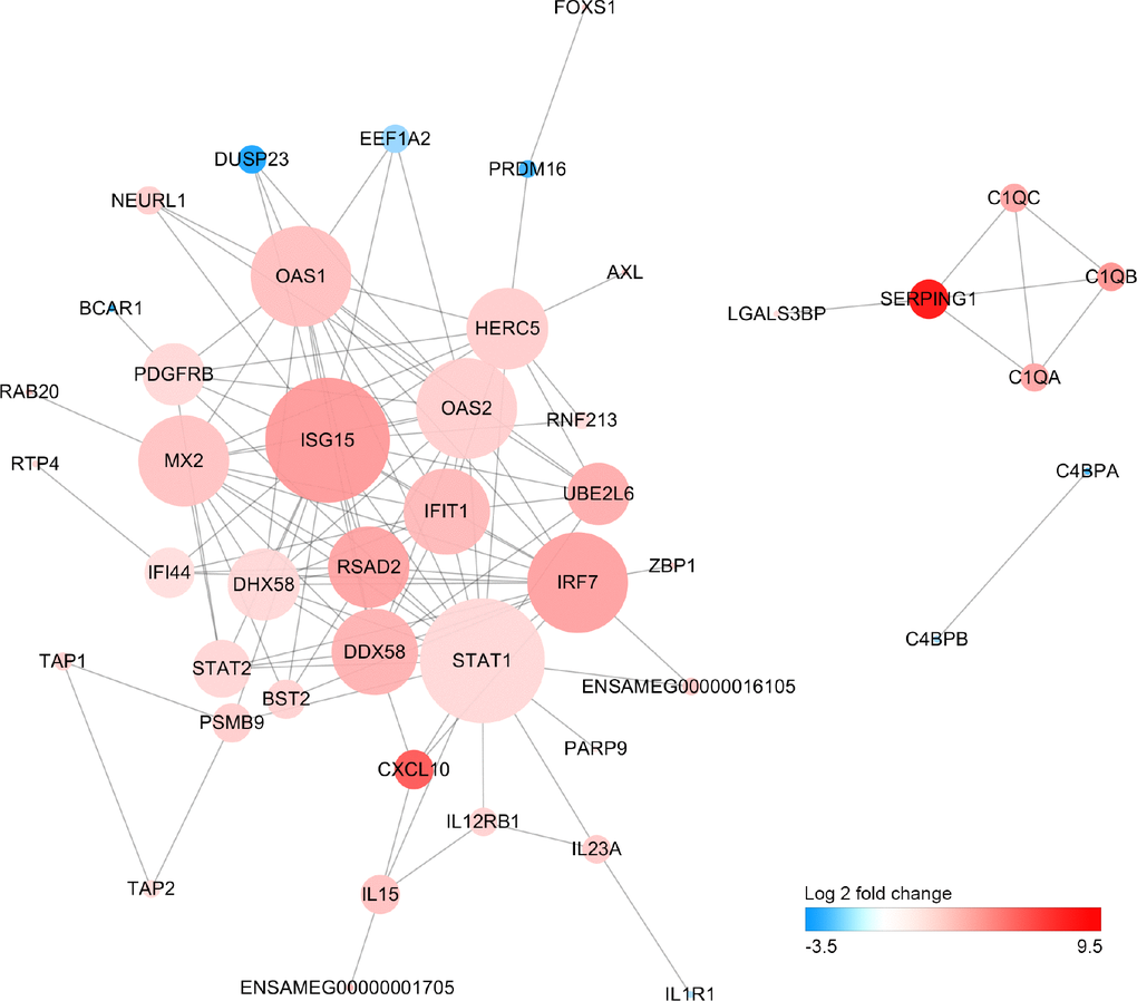 Protein-protein interaction network of differentially expressed genes