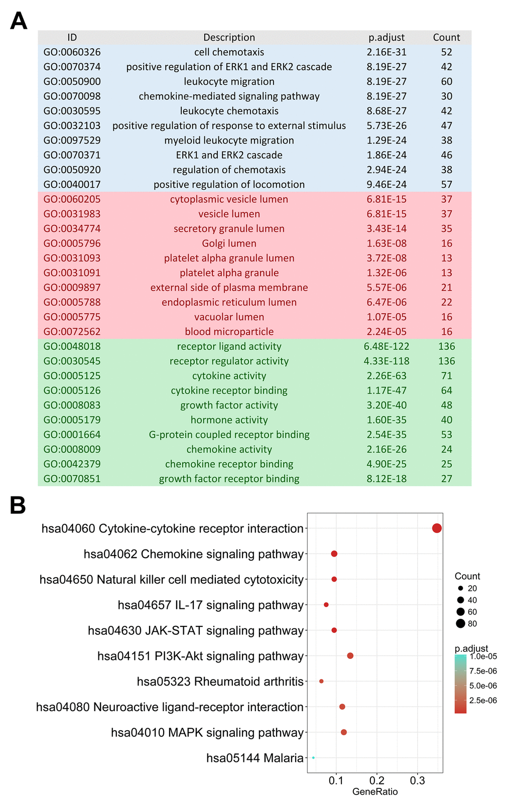 Gene functional enrichment of differentially expressed immune-related genes. (A) Gene ontology analysis; blue, red and green bars represent biological process, cellular component and molecular function, respectively. (B) The top 10 most significant Kyoto Encyclopedia of Genes and Genomes pathways.