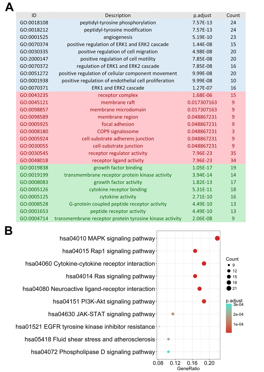Gene functional enrichment of survival-associated immune-related genes. (A) Gene ontology analysis; blue, red and green bars represent biological process, cellular component and molecular function, respectively. (B) The top 10 most significant Kyoto Encyclopedia of Genes and Genomes pathways.