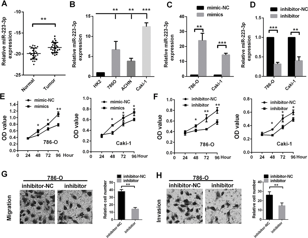 MiR-223-3p promotes RCC cell proliferation, migration and invasion in vitro