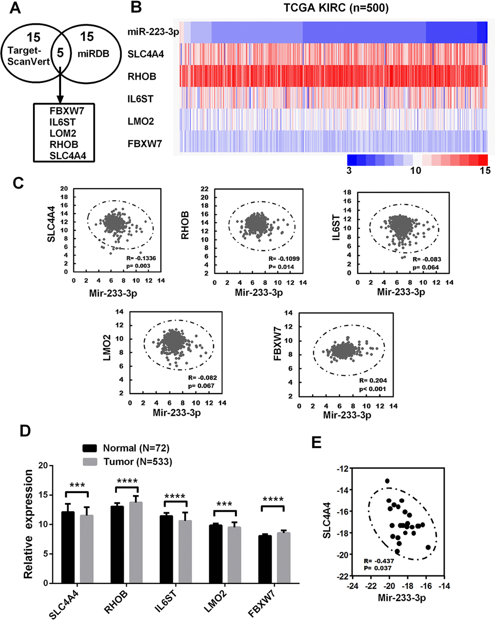 Bioinformatic analysis of miR-223-3p target genes in ccRCC