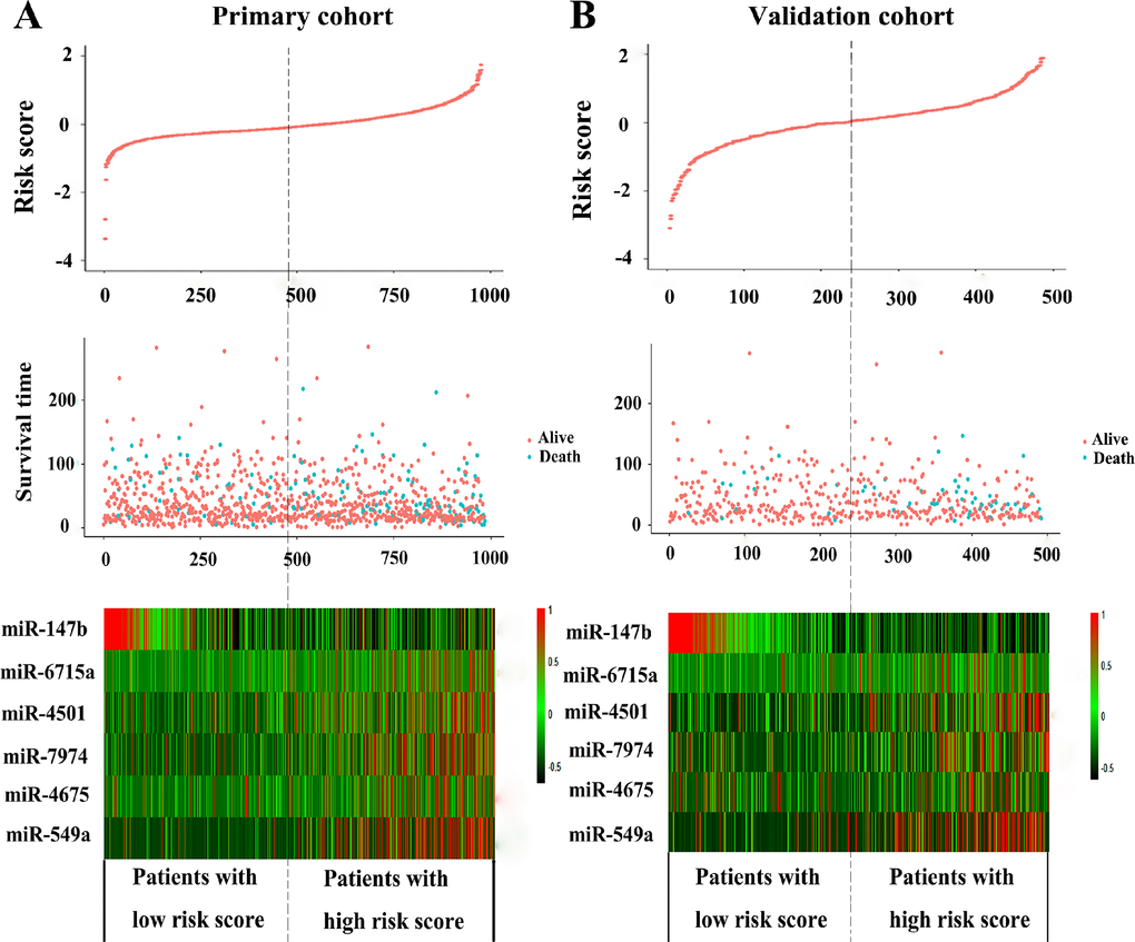 The distribution of risk score, OS, and OS status and the heat map of prognostic six-miRNA signature in the primary cohort (A) and validation cohort (B). The dotted line indicates the cutoff point of the median risk score used to stratify patients into the low-risk group and high-risk group. OS, overall survival.