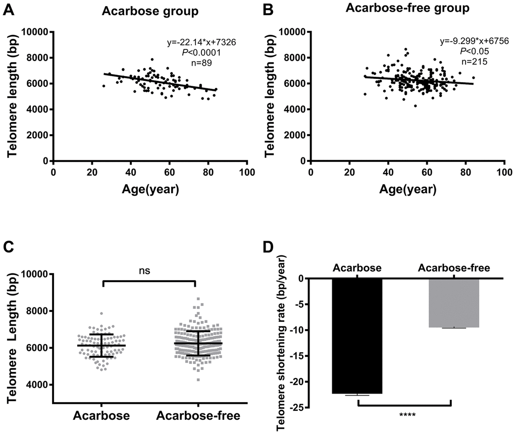Telomere length and TSR correlate with acarbose use in T2DM patients. Linear regression analysis of telomere length and age in the acarbose group (A) and the acarbose-free group (B); comparison of telomere length (C) and TSR (D) between the two groups. The solid lines in A and B indicate mean telomere length, calculated by regression analysis; y = -22.14*x+7362 in A (r=-0.45, P B (r=-0.15, P D) TSR was -22.14 ± 4.66 bp/year for the acarbose group (n = 89) and -9.29 ± 4.30 bp/year for the acarbose-free group (n = 215). Telomere length is presented as the mean ± SD. TSRs are presented as the mean ± SEM. ns indicates P > 0.05, ****indicates P 