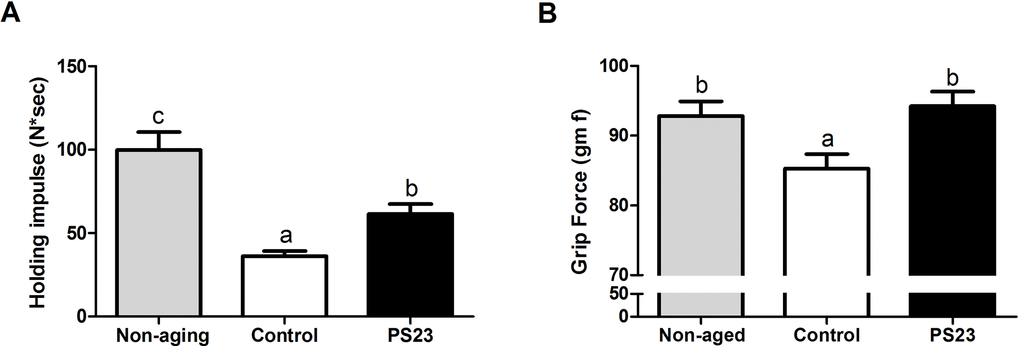 Muscle strength. (A) Holding impulse and (B) group force evaluated the muscle strength of SAMP8 mice. Different superscript letters (a, b, c) differ significantly at p 