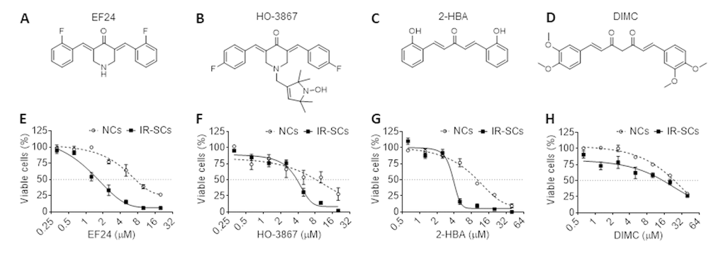 Senolytic activities of different curcumin analogs. (A-D) Chemical structures of EF24 (A), HO-3687 (B), 2-HBA (C) and dimethoxycurcumin (DIMC) (D). (E-H) Effect of EF24 (E), HO-3687 (F), 2-HBA (G) and DIMC (H) on the viability of WI-38 non-senescent cells (NCs) and IR‐induced senescent cells (IR-SCs) after the cells were treated by indicated concentrations of compounds for 72 h. Data are represented as mean ± SEM of three independent assays.