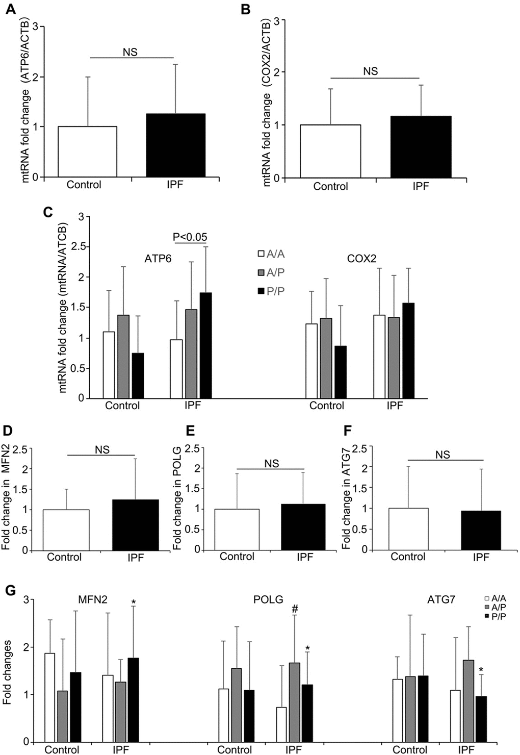 The mRNA levels of mitochondrial genes and mitochondrial regulation-related genes in the IPF patients and healthy controls. (A) ATP6 and (B) COX2 mRNA expression in the IPF patients and healthy controls. (C) The ATP6 and COX2 expression levels in the patients and healthy controls with different AluYb8MUTYH genotypes. (D–F) MFN2, POLG and ATG7 expression in the patients and healthy controls. (G) The MFN2, POLG and ATG7 mRNA levels among the IPF patients and healthy controls with different AluYb8MUTYH genotypes. * A significant difference between IPF patients with the A/P and P/P genotypes, PA/A and A/P genotypes, P