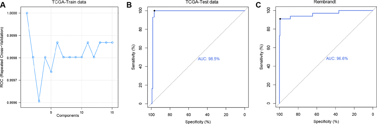 Predicting chromosome 1p/19q codeletion by RNA expression profile: a ...