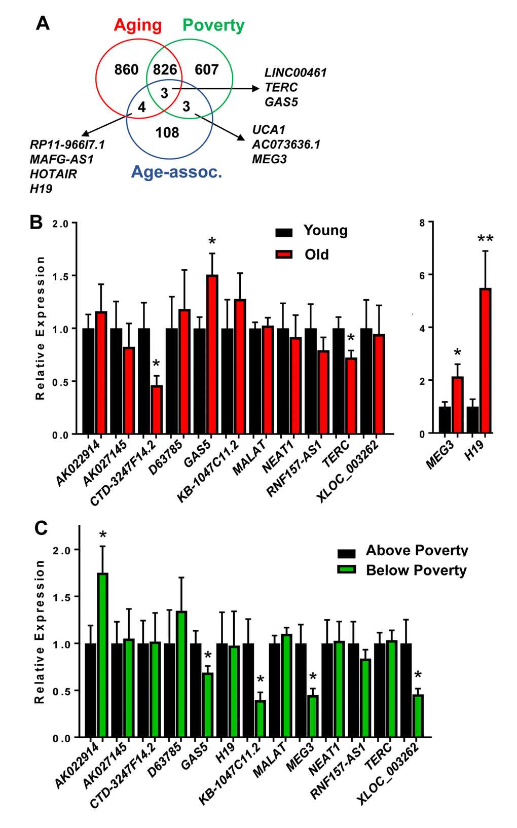Validation of age and poverty associated level changes in lncRNAs abundance. (A) lncRNAs significantly changed in abundance with age and poverty in white males were compared to lncRNAs identified in the literature to be age-associated. Overlapping lncRNAs are shown. (B-C) RNA was isolated from PBMCs from young (mean=32.1 yrs) and old (mean=62.6 yrs) white males above and below poverty (n=40; see Table 1 for demographics). RNA was reverse transcribed and lncRNA levels were quantified by RT-qPCR.