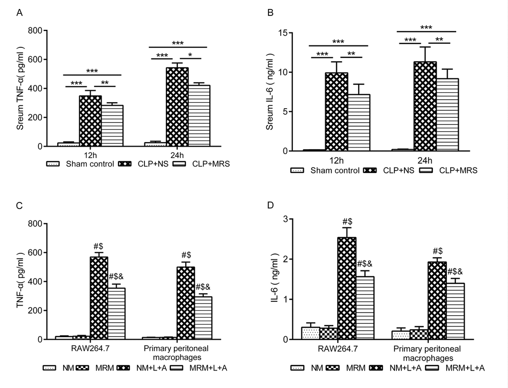  Figure 3. Methane suppressed activation of inflammatory cytokine. The blood samples were collected 12 and 24 h after the cecal ligation and puncture (CLP) (n = 12). The levels of serum (A) tumor necrosis factor (TNF)-α and (B) interleukin (IL)-6 were detected by ELISA. The supernatant of RAW 264.7 cells and primary peritoneal macrophages was collected 24 h after lipopolysaccharide+ adenosine-triphosphate (LPS + ATP) stimulation (n = 3). The levels of (C) TNF-α and (D) IL-6 in supernatant were detected by ELISA. (Data are shown as the mean ±SD. *P  **p ***P #P  $p &P 