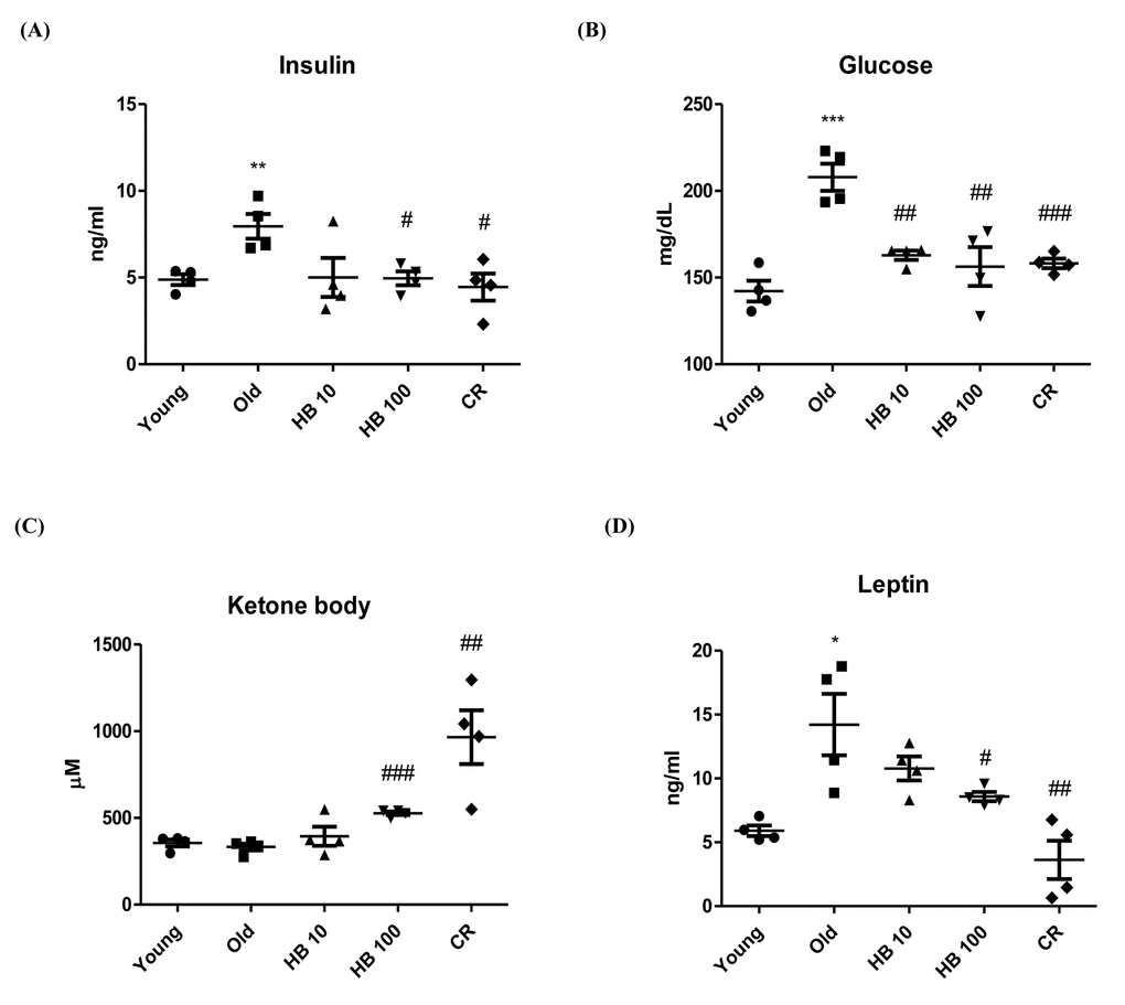 Ameliorated serum in β-hydroxybutyrate (HB)-treated aged rats. HB was administered to aged rats (n = 4 each). (A) Serum insulin, (B) glucose levels, (C) Ketone body, and (D) Leptin were measured after 30 days of HB treatment. ##p ###p *p **p ***p 